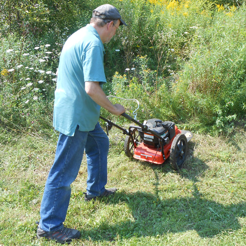 The Amazing DR Trimmer Mower - DR's Country Life Blog