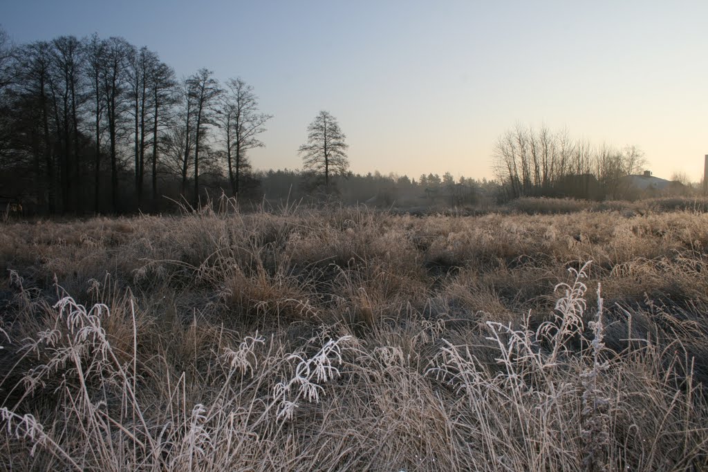 Winter brush mowing